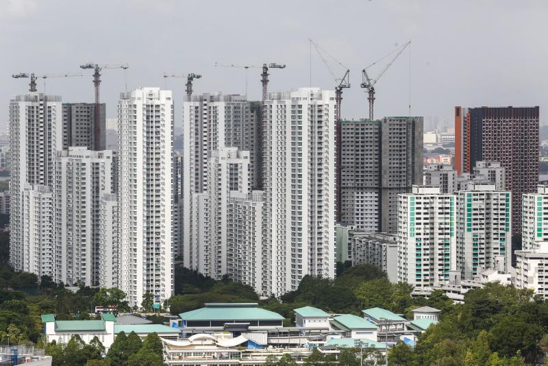 傅惇璇认为要增加住宅供应不一定要铲除绿地,重新规划已经开发的土地,优化现有空间是其他方式之一。(陈斌勤摄)