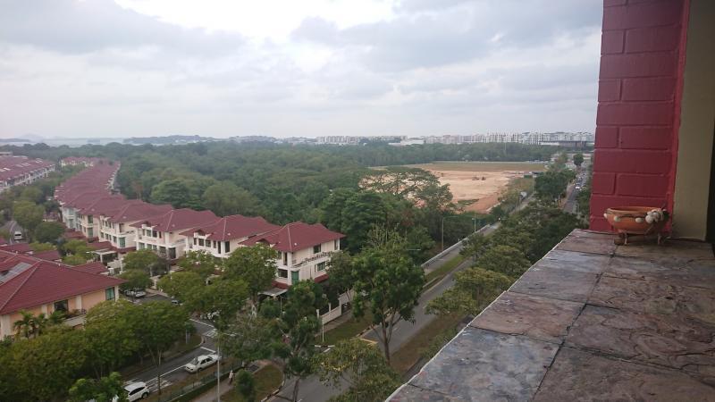 傅惇璇在社媒分享的图片显示阿比阿比河附近一大片具备重要防灾功效的后红树林已被清除,她希望借此提醒公众,面对威胁的树林绝对不限于克兰芝林地或杜佛森林。(受访者提供)