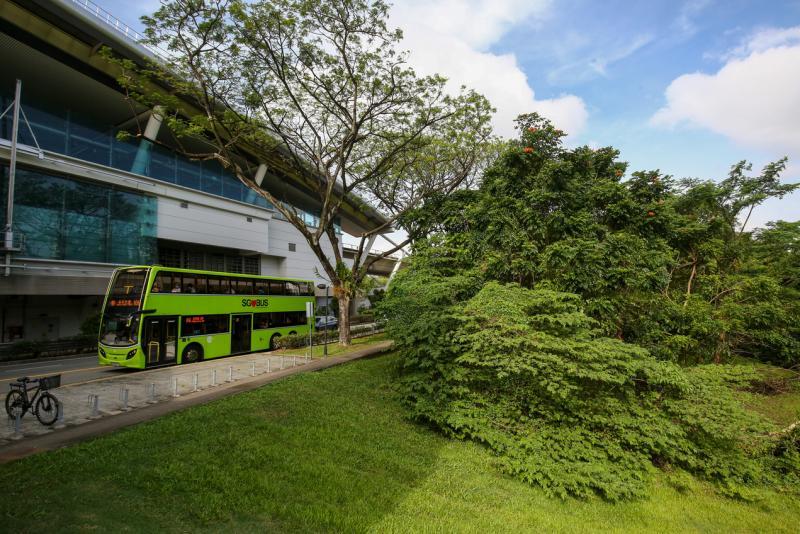 人类的幸福与大自然的健康息息相关。(陈斌勤摄)