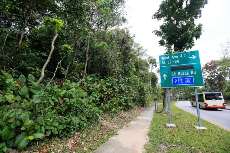 武吉巴督山坡公园前称Greenwood Park,目前已经废弃,但路牌旁边有条小路可以进入公园。