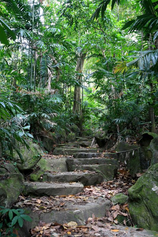 武吉巴督山坡公园里石头堆砌而成的梯级,提醒我们公园在策划和建造时投入多少心思。