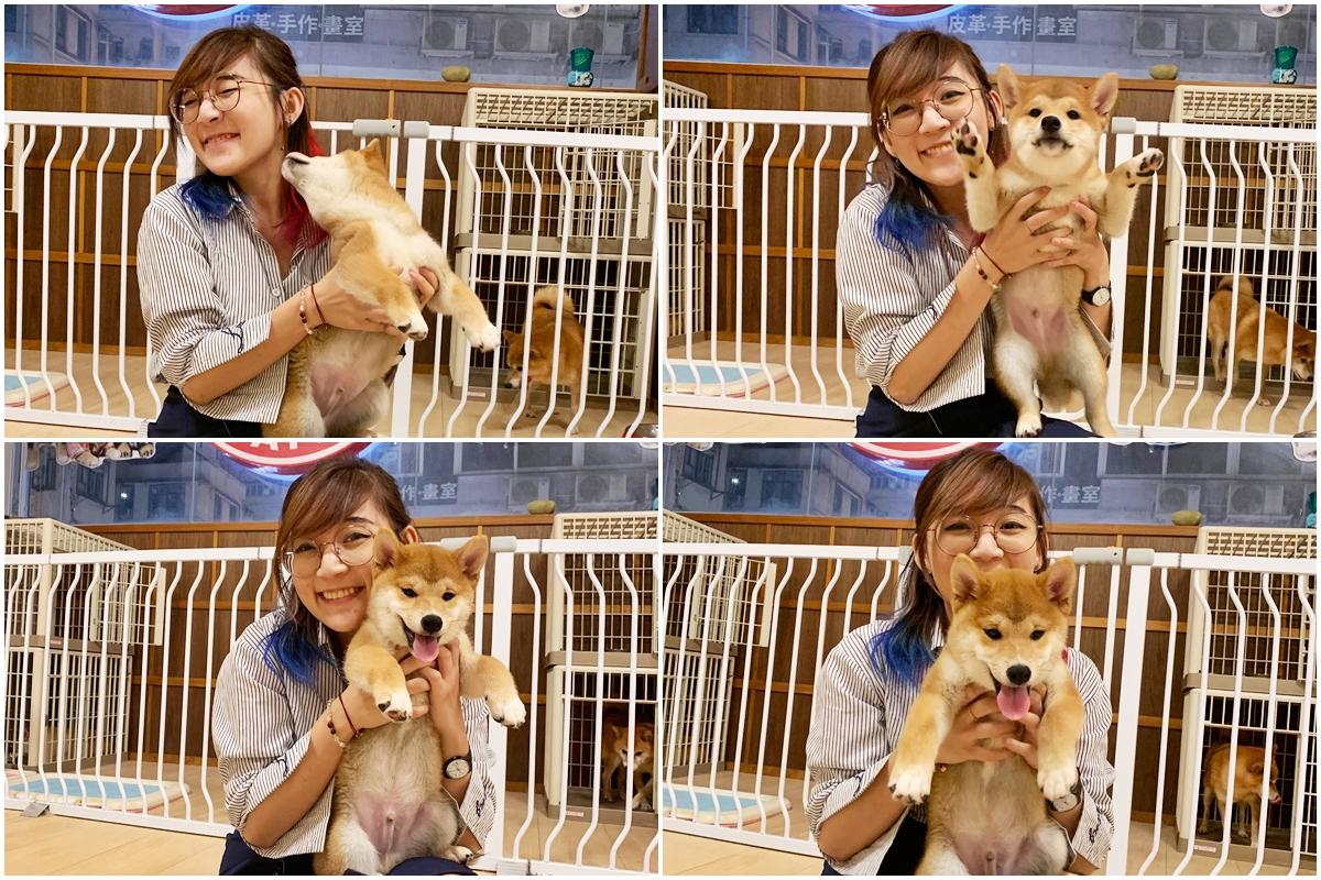 可爱爆表的“短腿服务生”？盘点亚洲5家动物咖啡馆| 联合早报