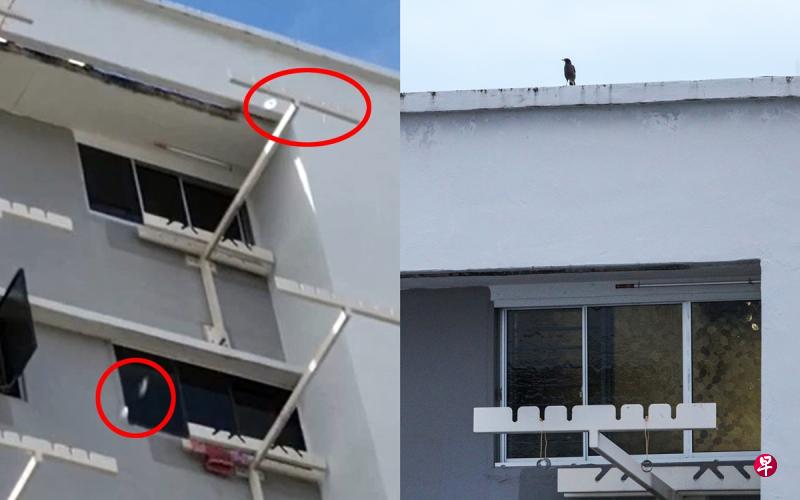 (左图)女居民拍到老夫妇曾将两片光碟悬挂在晒衣杆上。(右图)老夫妇把将两个牛奶罐悬挂在晒衣杆。(读者提供/林泽锐摄) (左图)女居民拍到老夫妇曾将两片光碟悬挂在晒衣杆上。(右图)老夫妇把将两个牛奶罐悬挂在晒衣杆。(读者提供/林泽锐摄)