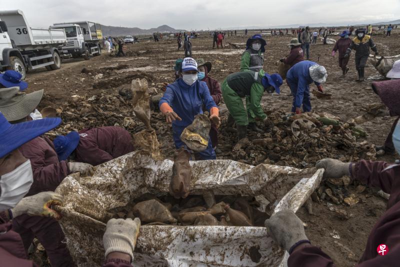 一些志愿工作者上周五在干涸的乌鲁乌鲁湖底展开大规模清理工作,将满地的垃圾一一捡起,希望能尽快还原乌鲁乌鲁湖昔日的美丽景色。(彭博社) 一些志愿工作者上周五在干涸的乌鲁乌鲁湖底展开大规模清理工作,将满地的垃圾一一捡起,希望能尽快还原乌鲁乌鲁湖昔日的美丽景色。(彭博社)
