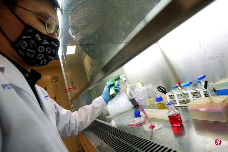 未来食品安全中心研究室将在今年中开始运作,到时研究员会开发新的食品安全检测技术,包括如何避免使用活体动物进行测试。(萧紫薇摄) 未来食品安全中心研究室将在今年中开始运作,到时研究员会开发新的食品安全检测技术,包括如何避免使用活体动物进行测试。(萧紫薇摄)