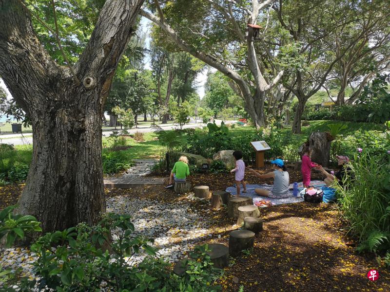 在自然环境中野餐。