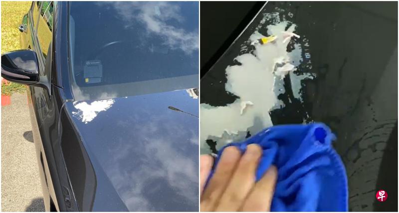 陈先生将广告传单拿起来后,发现有一大片残渍已“黏”在引擎盖上。他最终花了500元打蜡和镀膜。(受访者提供) 陈先生将广告传单拿起来后,发现有一大片残渍已“黏”在引擎盖上。他最终花了500元打蜡和镀膜。(受访者提供)