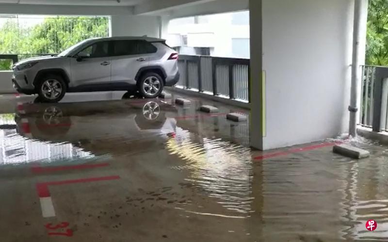 停车场内积水形成小水池,横跨一整排至少八个停车位。(读者提供) 停车场内积水形成小水池,横跨一整排至少八个停车位。(读者提供)