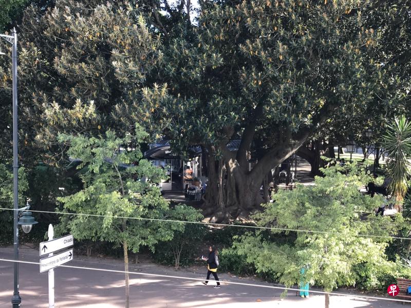 葡萄牙里斯本旅舍阳台看出去的公园风景。(赵琬仪摄于2019年5月) 葡萄牙里斯本旅舍阳台看出去的公园风景。(赵琬仪摄于2019年5月)