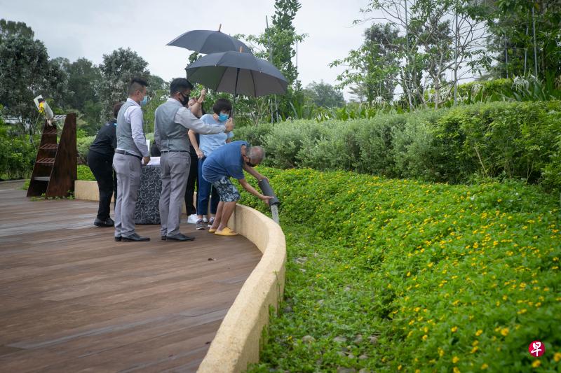 清心园启用首日,刘轩成(右一)在邻居苏月娟(右二)的陪伴下,将姐姐刘桐月的骨灰撒在撒土区的卵石上。园内不允许进行任何宗教仪式、燃烧香烛和祭品,环境局设置了专用花架(图中左侧),供家属放置鲜花,以寄哀思。启用初期,清心园每日最多能接待八组家庭。(陈来福摄) 清心园启用首日,刘轩成(右一)在邻居苏月娟(右二)的陪伴下,将姐姐刘桐月的骨灰撒在撒土区的卵石上。园内不允许进行任何宗教仪式、燃烧香烛和祭品,环境局设置了专用花架(图中左侧),供家属放置鲜花,以寄哀思。启用初期,清心园每日最多能接待八组家庭。(陈来福摄)