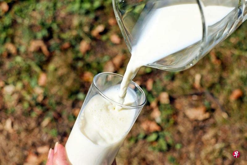 美国监管机构说，无证据表明存在禽流感病毒碎片的牛奶会对人体构成危险，也无证据表明商店货架上的牛奶存在禽流感活病毒。（Pixabay图）