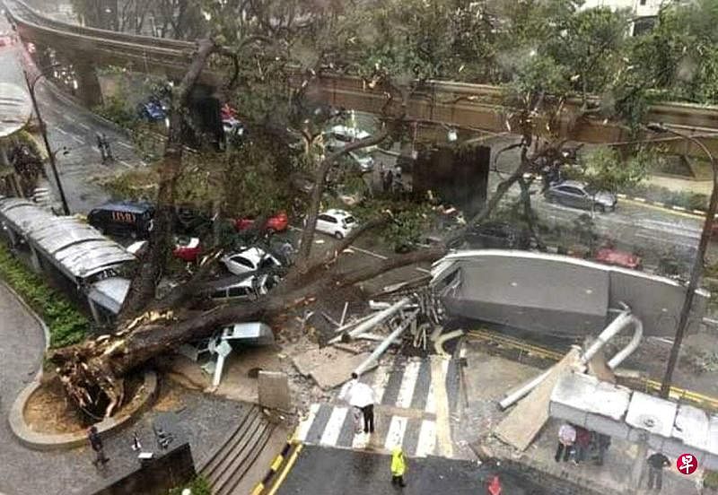 吉隆坡市中心星期二（5月7日）下午的狂风暴雨导致一棵大树轰然倒下，并压住至少17辆车子，造成一死一伤。倒下的大树也阻断附近的单轨火车轨道而导致服务中断。（取自星洲日报）