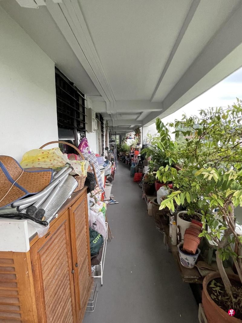 在走廊摆放植物,容易滋生蚊虫;乱放置脚踏车和纸箱,会阻碍通行;发生火灾时,这些杂物更可能成为逃生的障碍,纸箱也极易助燃,加剧火势。(档案照片) 在走廊摆放植物,容易滋生蚊虫;乱放置脚踏车和纸箱,会阻碍通行;发生火灾时,这些杂物更可能成为逃生的障碍,纸箱也极易助燃,加剧火势。(档案照片)