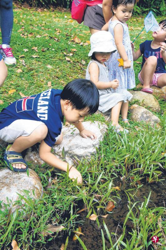 ▲“小树芽”户外活动让幼儿在接触大自然的同时学习华语。(小树芽提供) ▲“小树芽”户外活动让幼儿在接触大自然的同时学习华语。(小树芽提供)