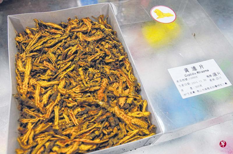 禁用38年、含小檗碱成分的黄连终于能从下个月起再次在本地“重见光明”。(档案照片) 禁用38年、含小檗碱成分的黄连终于能从下个月起再次在本地“重见光明”。(档案照片)