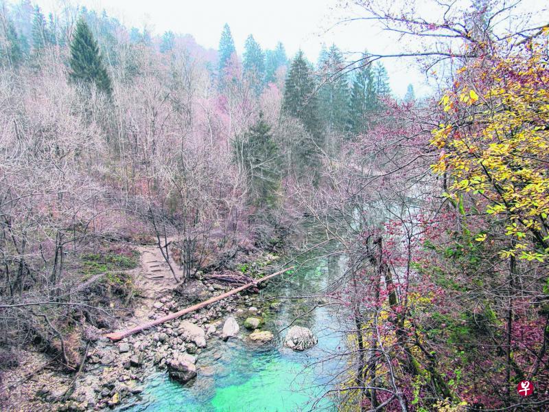 清新的空气,鸦雀无声的峡谷,只听见流水声音,洗涤着我们的心灵。 清新的空气,鸦雀无声的峡谷,只听见流水声音,洗涤着我们的心灵。