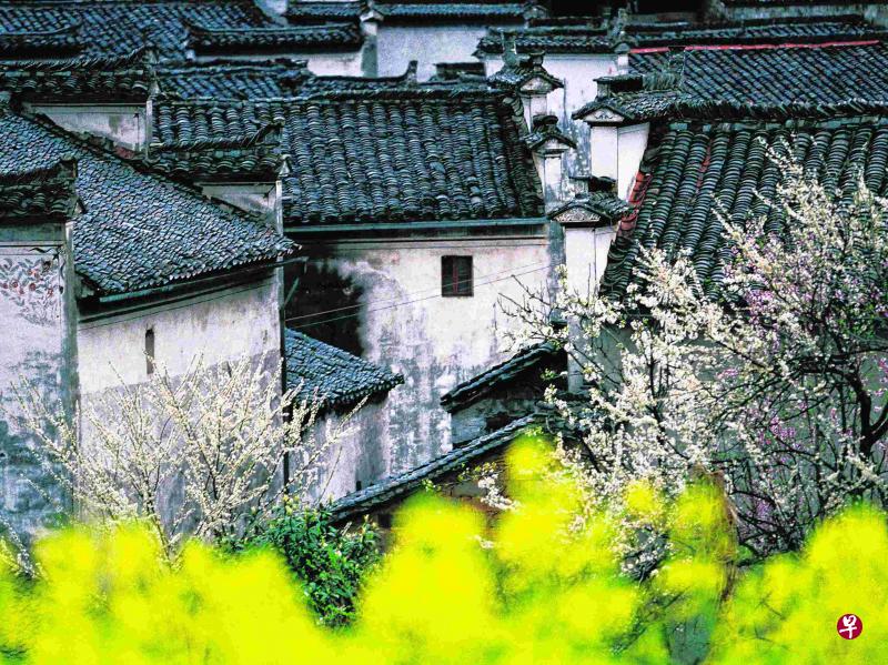 有中国最美乡村之称，走进婺源，就如一次漫步于诗情画意的旅行，其代表性徽派民居建筑，尤显山水之灵气。（Getty Images 图）