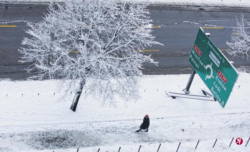 波兰的雪。(王寅摄影) 波兰的雪。(王寅摄影)