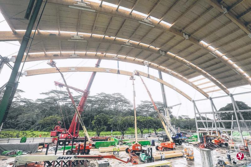 南洋理工大学正在兴建本区域首个以木质为主要建筑材料的新体育馆，借助环保材料和工程设计巧思，体育馆不但工程速度快，也极具节能效益。（陈斌勤摄）