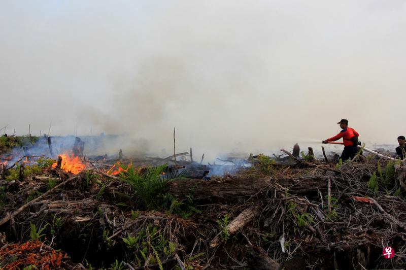 印尼消防人员在扑灭火种,防止火势蔓延。(档案照片) 印尼消防人员在扑灭火种,防止火势蔓延。(档案照片)