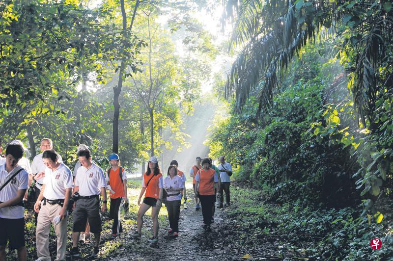 在牛乳场自然公园生态路线步行,公众除了有机会穿过丛林看到罕见的动植物外,也能欣赏到碧绿的新加坡矿湖。(林泽锐摄) 在牛乳场自然公园生态路线步行,公众除了有机会穿过丛林看到罕见的动植物外,也能欣赏到碧绿的新加坡矿湖。(林泽锐摄)