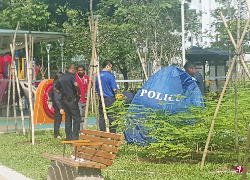 11岁何姓男童今早坠楼身亡。