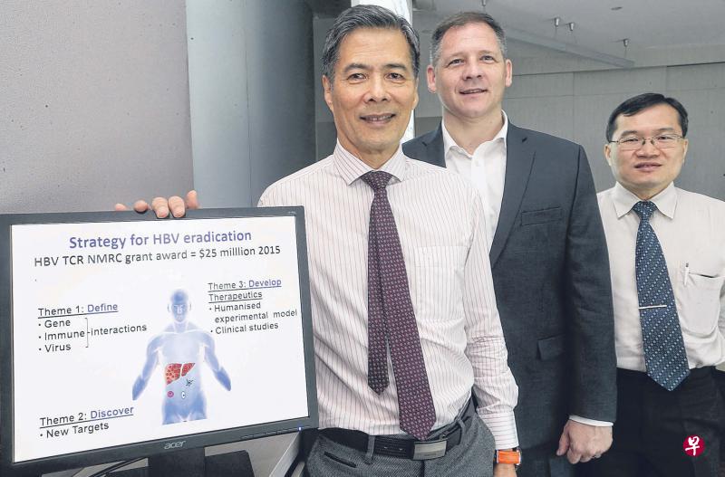 国大医学组织肝脏病学专家林成义教授(左起)、新加坡科技研究局免疫学专家约翰·爱德华博士以及国大医院肠胃与肝脏病学科顾问医生李冠辉希望通过研究,找出能根除慢性B型肝炎病毒的治疗法。(邬福梁摄) 国大医学组织肝脏病学专家林成义教授(左起)、新加坡科技研究局免疫学专家约翰·爱德华博士以及国大医院肠胃与肝脏病学科顾问医生李冠辉希望通过研究,找出能根除慢性B型肝炎病毒的治疗法。(邬福梁摄)