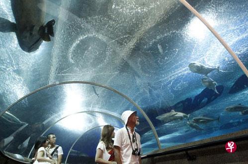 圣淘沙海底世界水族馆将在本月26日停止营业。(档案照片) 圣淘沙海底世界水族馆将在本月26日停止营业。(档案照片)