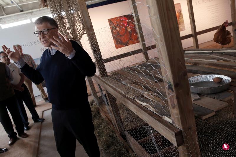 比尔盖茨在纽约市新世界贸易中心68楼展示小鸡和宣布捐献小鸡协助脱贫。(路透社) 比尔盖茨在纽约市新世界贸易中心68楼展示小鸡和宣布捐献小鸡协助脱贫。(路透社)