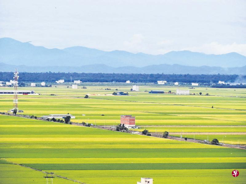 适耕庄稻田广阔无垠,远山含笑,壮观秀丽兼具。 适耕庄稻田广阔无垠,远山含笑,壮观秀丽兼具。