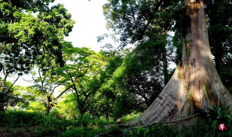 (档案图) (档案图)