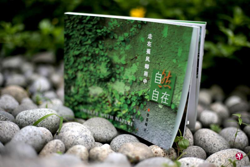 李喜梅的《自然自在——走在蕉风椰雨中》在城市中捕捉绿色雅趣。（龙国雄摄）