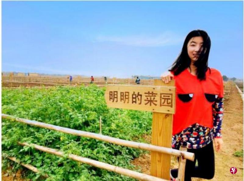 ▲明明的菜园。(互联网) ▲明明的菜园。(互联网)