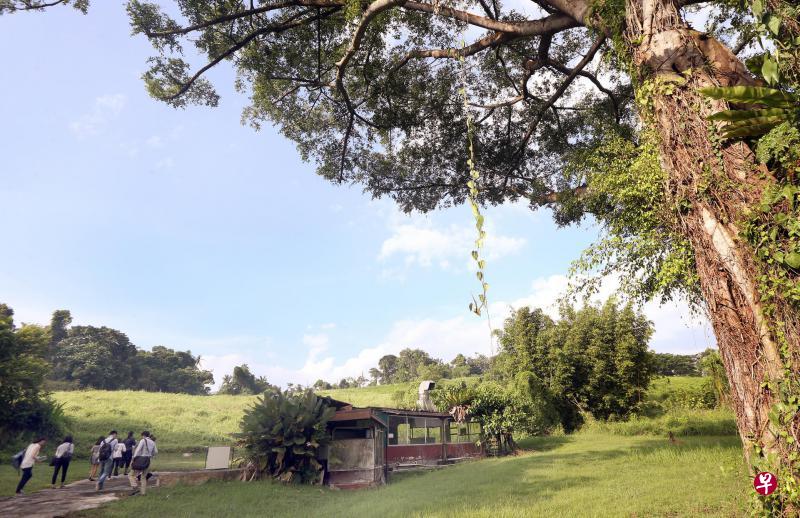 新飞禽公园将建于前万礼胡姬园和部分空置的农场地,使用开发过的土地,可减少对生态的影响。这块地曾是农业用地,右下图显示这里还留下一口井。(周柏荣摄/万礼生态园提供) 新飞禽公园将建于前万礼胡姬园和部分空置的农场地,使用开发过的土地,可减少对生态的影响。这块地曾是农业用地,右下图显示这里还留下一口井。(周柏荣摄/万礼生态园提供)