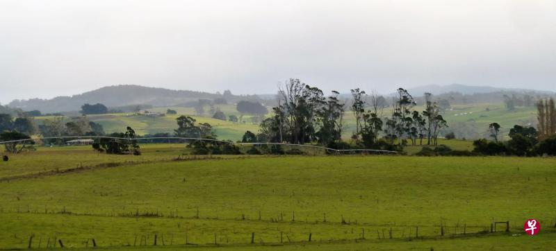 塔斯马尼亚旷野。 塔斯马尼亚旷野。