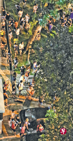 后港6道第531座组屋楼下停车场及底层都聚集了大批精灵玩家。(刘启成、陈佩敏摄) 后港6道第531座组屋楼下停车场及底层都聚集了大批精灵玩家。(刘启成、陈佩敏摄)