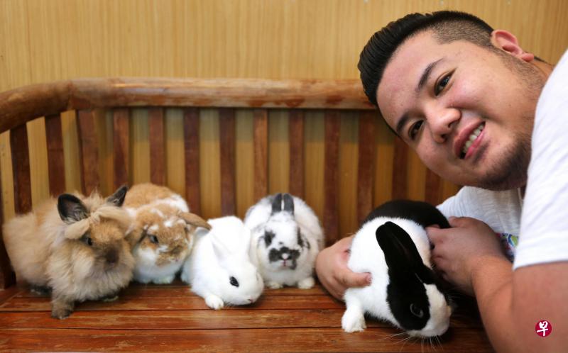戴炜彬用时间和耐心驯服兔子。(左起)狮子兔RHQ Simba(3个月半)、荷兰垂耳兔RHQ Vardy(7个月)、Dwarf Hotot(3个月)、荷兰侏儒兔RHQ Buddy(9个月)。(萧紫薇摄) 戴炜彬用时间和耐心驯服兔子。(左起)狮子兔RHQ Simba(3个月半)、荷兰垂耳兔RHQ Vardy(7个月)、Dwarf Hotot(3个月)、荷兰侏儒兔RHQ Buddy(9个月)。(萧紫薇摄)