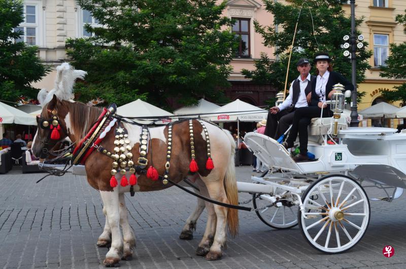古都街上的马车。 古都街上的马车。