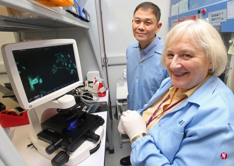 新加坡科技研究局医学生物研究院院长布尔吉连教授(右)与全国皮肤中心院长陈锦华教授受访时都表示,皮肤研究尚未受到重视,但这方面的研究成果会让许多人受惠。资料显示,全球人口中,每三人就有一人会患不同的皮肤病症。(林国明摄) 新加坡科技研究局医学生物研究院院长布尔吉连教授(右)与全国皮肤中心院长陈锦华教授受访时都表示,皮肤研究尚未受到重视,但这方面的研究成果会让许多人受惠。资料显示,全球人口中,每三人就有一人会患不同的皮肤病症。(林国明摄)