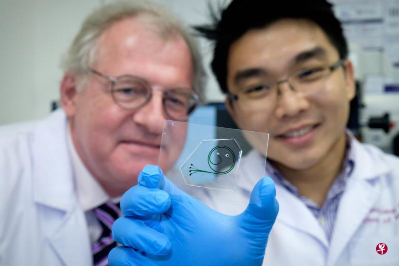 南洋理工大学科研人员研发的晶片,可迅速把血液的不同成分分隔开来,就能清楚地分析当中的中性粒细胞,了解病患是否出现发炎的情况。(南大提供) 南洋理工大学科研人员研发的晶片,可迅速把血液的不同成分分隔开来,就能清楚地分析当中的中性粒细胞,了解病患是否出现发炎的情况。(南大提供)