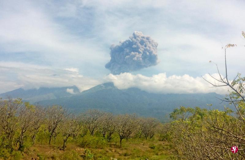 印尼龙目岛的巴鲁贾尼火山前天开始喷出滚滚的火山灰。（路透社）