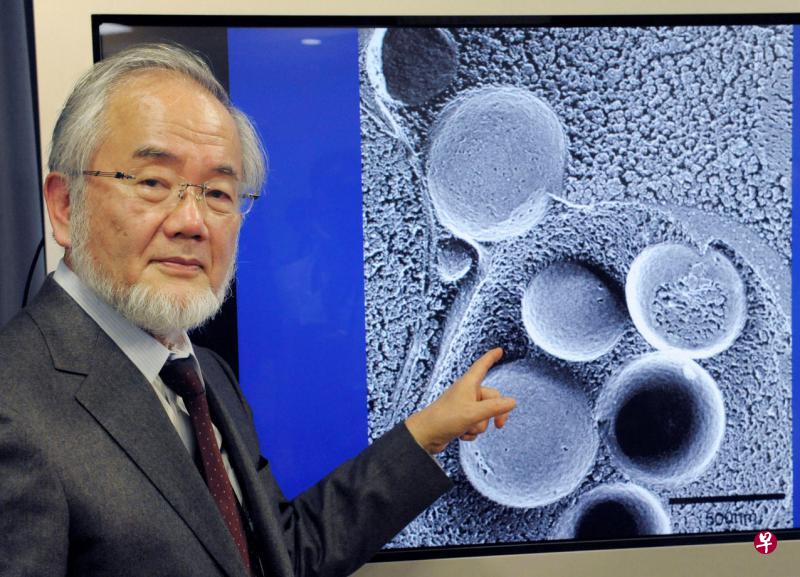 大隅良典现年71岁,是第25个获得诺贝尔奖的日本人。(路透社) 大隅良典现年71岁,是第25个获得诺贝尔奖的日本人。(路透社)