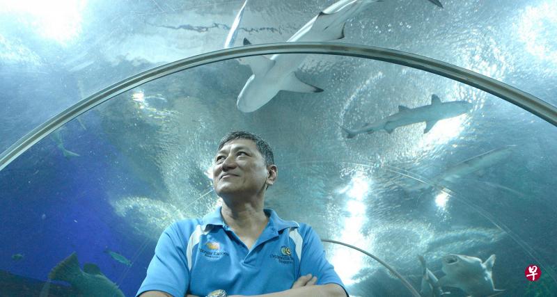 陈锦荣在海底世界开幕前就工作至今,视海底大小鱼儿为自己的“孩子”。(档案照) 陈锦荣在海底世界开幕前就工作至今,视海底大小鱼儿为自己的“孩子”。(档案照)