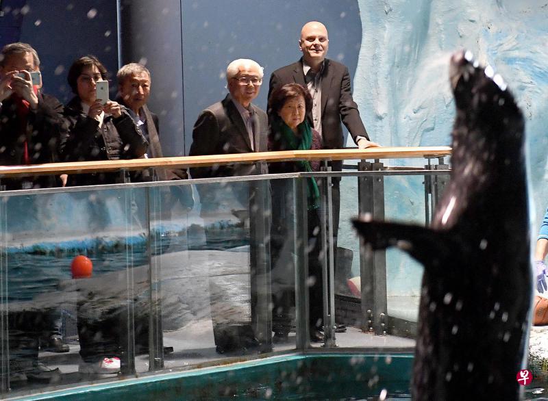 陈庆炎总统伉俪昨天访问挪威北部最大城市特罗姆瑟期间,也到北极博物馆的水族馆参观。随行的包括总理公署兼人力部政务部长陈振泉(左一)、丹戎巴葛集选区议员祖安清心(左二)和新加坡驻挪威非常驻大使黄思绵(左三)。(海峡时报) 陈庆炎总统伉俪昨天访问挪威北部最大城市特罗姆瑟期间,也到北极博物馆的水族馆参观。随行的包括总理公署兼人力部政务部长陈振泉(左一)、丹戎巴葛集选区议员祖安清心(左二)和新加坡驻挪威非常驻大使黄思绵(左三)。(海峡时报)