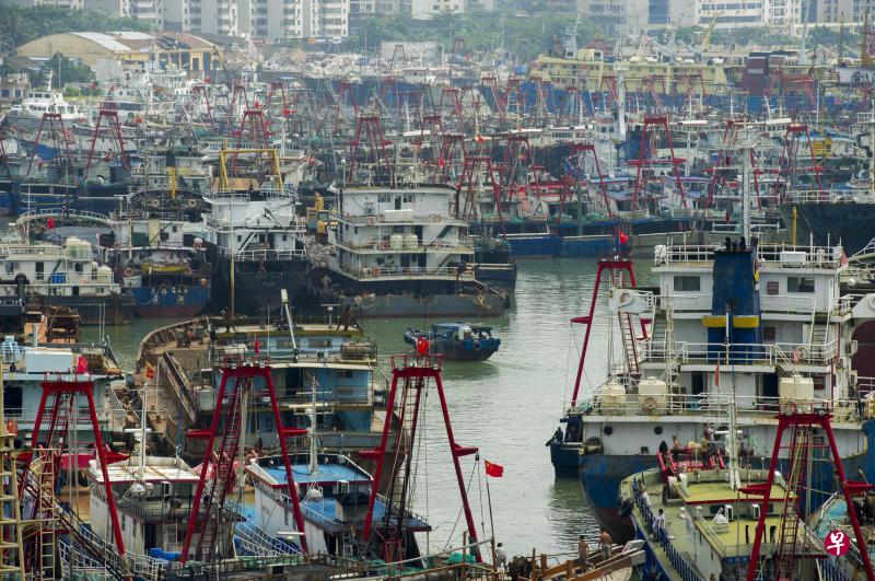 “莎莉嘉”有可能成为1970年以来10月登陆海南的最强台风,截至昨天傍晚,海南2万5396艘渔船回港避风。图为海口新港码头停靠了众多避风船只。(中新社) “莎莉嘉”有可能成为1970年以来10月登陆海南的最强台风,截至昨天傍晚,海南2万5396艘渔船回港避风。图为海口新港码头停靠了众多避风船只。(中新社)