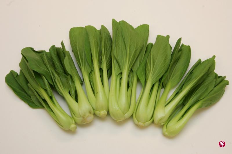 骨折患者可多吃小白菜等食物。(档案照) 骨折患者可多吃小白菜等食物。(档案照)