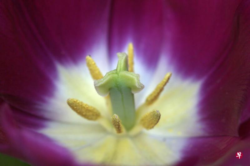 怒放的青春,毫无保留。 怒放的青春,毫无保留。