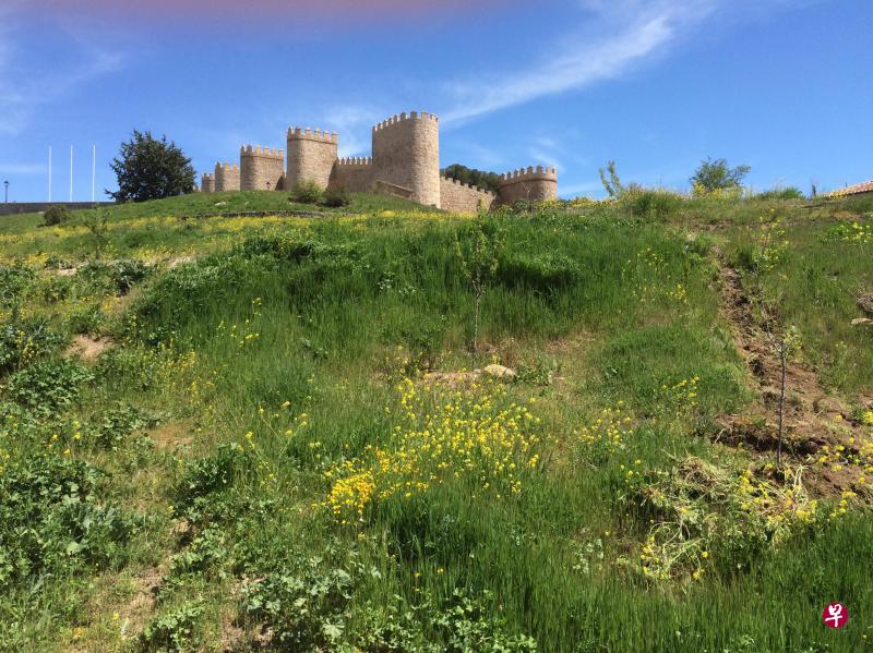 乡野里的阿维拉城墙。 乡野里的阿维拉城墙。