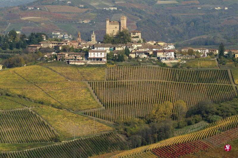 巴巴瑞斯科其实是皮埃蒙特省的一个自治市,主要葡萄品种是内比奥罗。(Angelo Gaja酒庄提供) 巴巴瑞斯科其实是皮埃蒙特省的一个自治市,主要葡萄品种是内比奥罗。(Angelo Gaja酒庄提供)