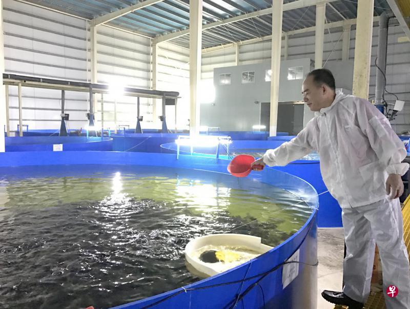 王泉成:以我们的良心、用心来养殖能让老百姓放心、安心的深海鱼。(受访者提供) 王泉成:以我们的良心、用心来养殖能让老百姓放心、安心的深海鱼。(受访者提供)